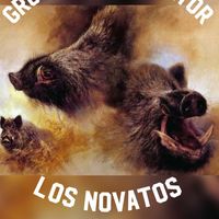 losnovatos0