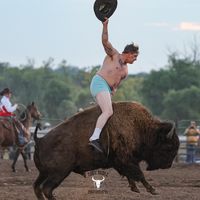 bullsbarrelsboxing