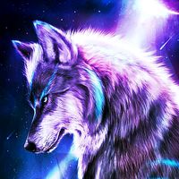 wolfmadnes.rifiso