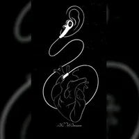 original sound - amusic.08