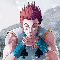 hisoka.figure