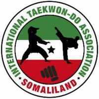 hamzetaekwondo