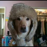 original sound - clips_goddess