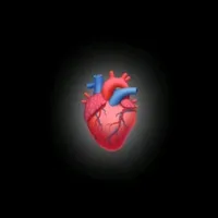 original sound - music_house_db