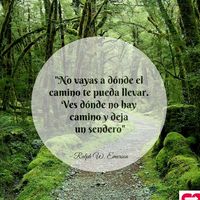 peliculas.y.series15