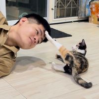 เสียงต้นฉบับ - แมวภาระ มีภาระ