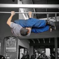 metamorfo_training