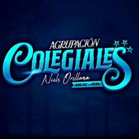 agrupacioncolegiales
