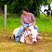 sousa_trancas_e_traias