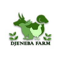 djeneba_farm