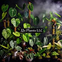 jjs_plants_llc