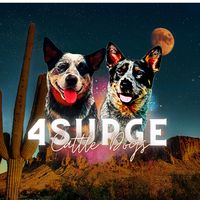 4surgecattledogs