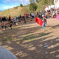 sonido original