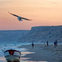 original sound - sugule2000