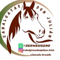 cabalgatasdonjulian