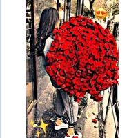 user380771167