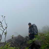 jutapppm
