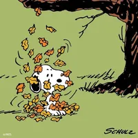 original sound - gime_rzxw