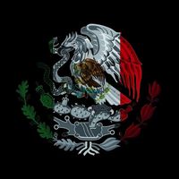 Demasiado Mexicano
