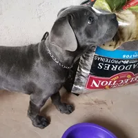 original sound - 3sharaw