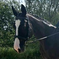 _lam.alinka.malinka_