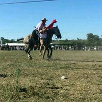 marcelo.duarte46