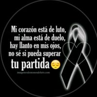 la.dama.de.hierro955
