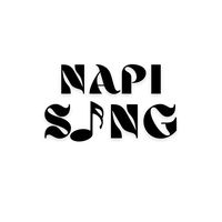 napisong.id