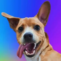 original sound - e_cleitiin