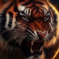 tigre7776278374561