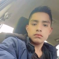 alexanderbravo5319