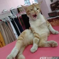 suara asli - Farida  Enim