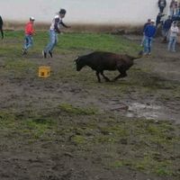 henrylazo10
