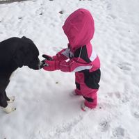 mychildhooddog17