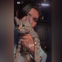 fanny_mls0258