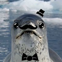 DANG EVEYONE IS USEING THE SOUND THATS CRAZY HOLY