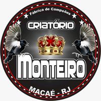welitonmonteiro0