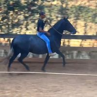 renanrufino13