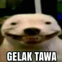gildrtsy