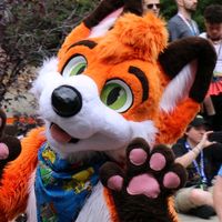 pyrothefox