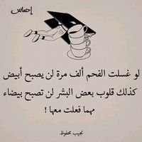 user6038419761774