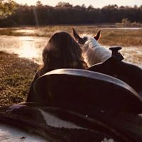 But my horse has a big bank