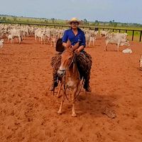 leandro.henrique660