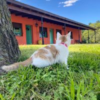 lasaventurasdejirafa