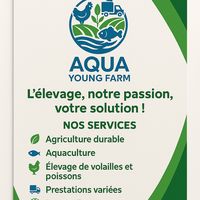 aquayoungfarm