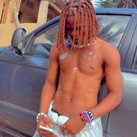alban_le_phenix228