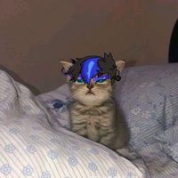 suara asli - BocilCC