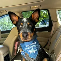 use this sound for good luck