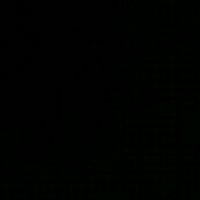 anlucas_111