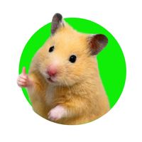 greenscreenhamster